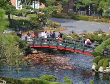 Botanical Gardens in Cheonan