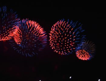 Fireworks Extravaganza in Yeoido Park