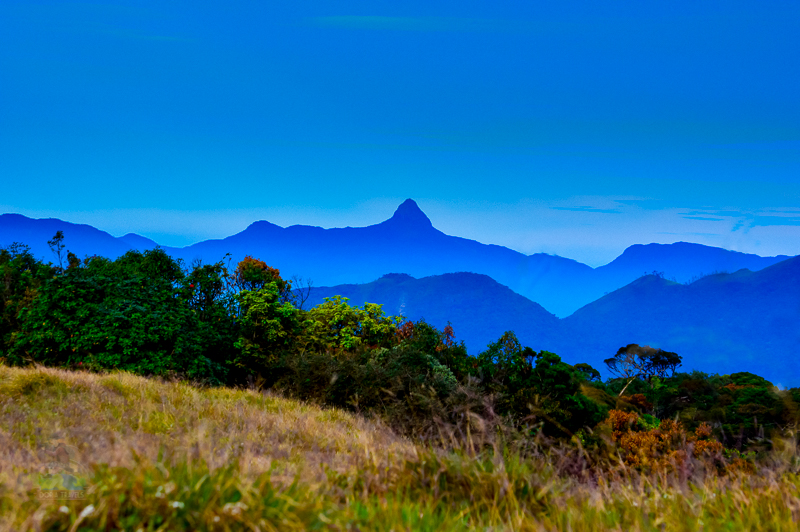 Adam's Peak in the Distant at Sunrise from Horton Plains