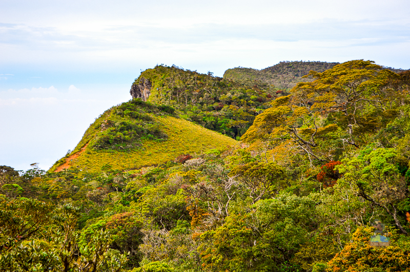 "Big World's End" from a Higher Point at Horton Plains