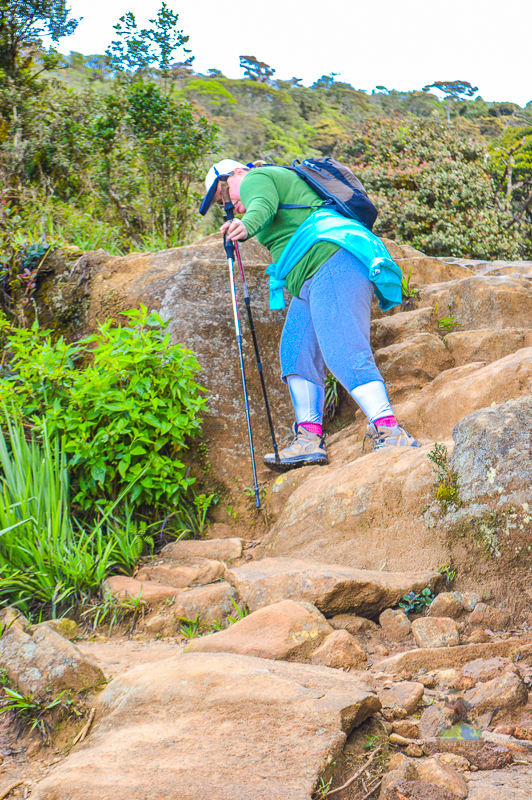 Trekking Down Some Slippery Terran at Horton Plains