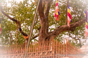 Anuradhapura