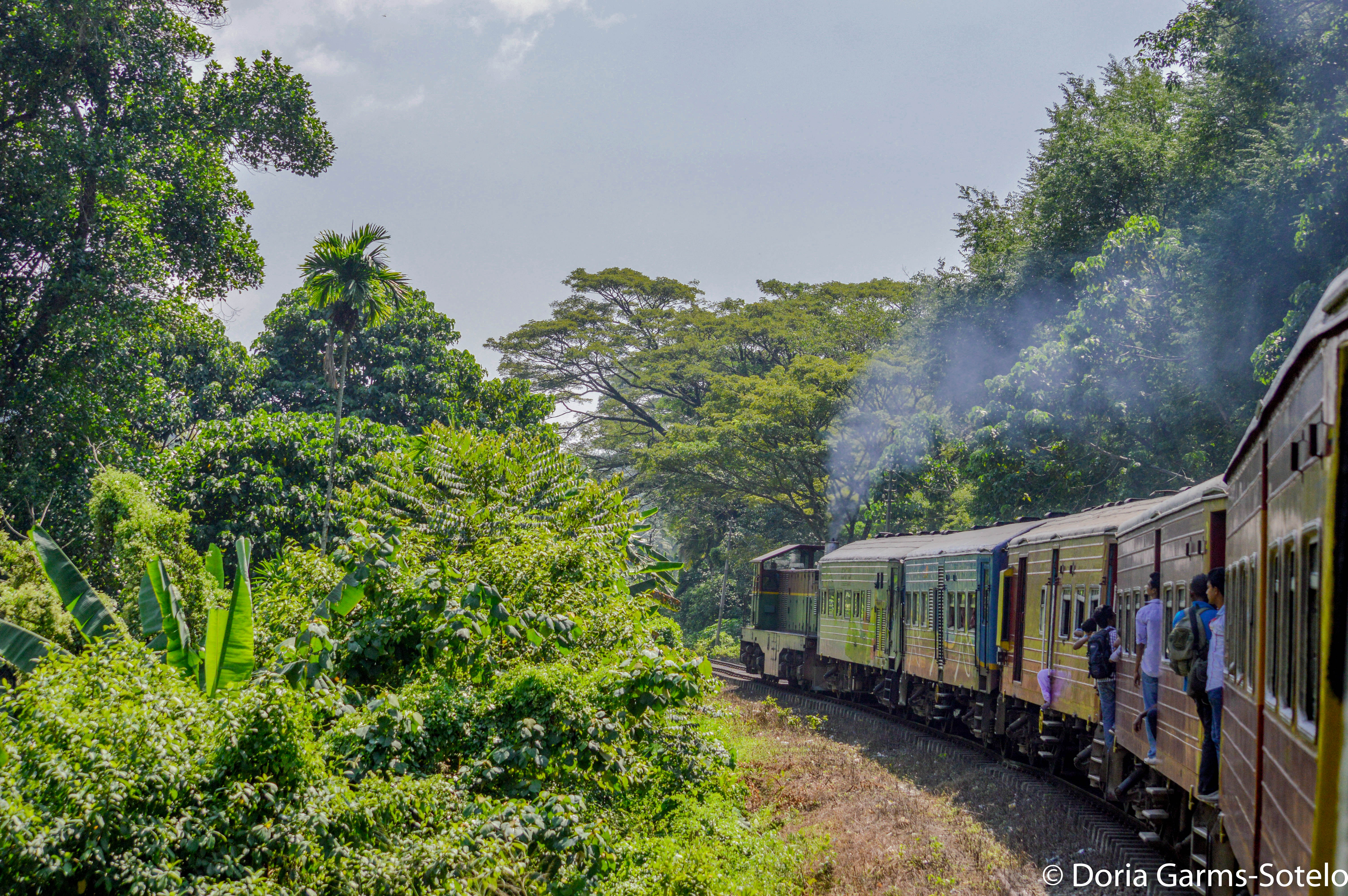 Our Train