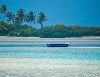 The Maldives: Like no place on earth