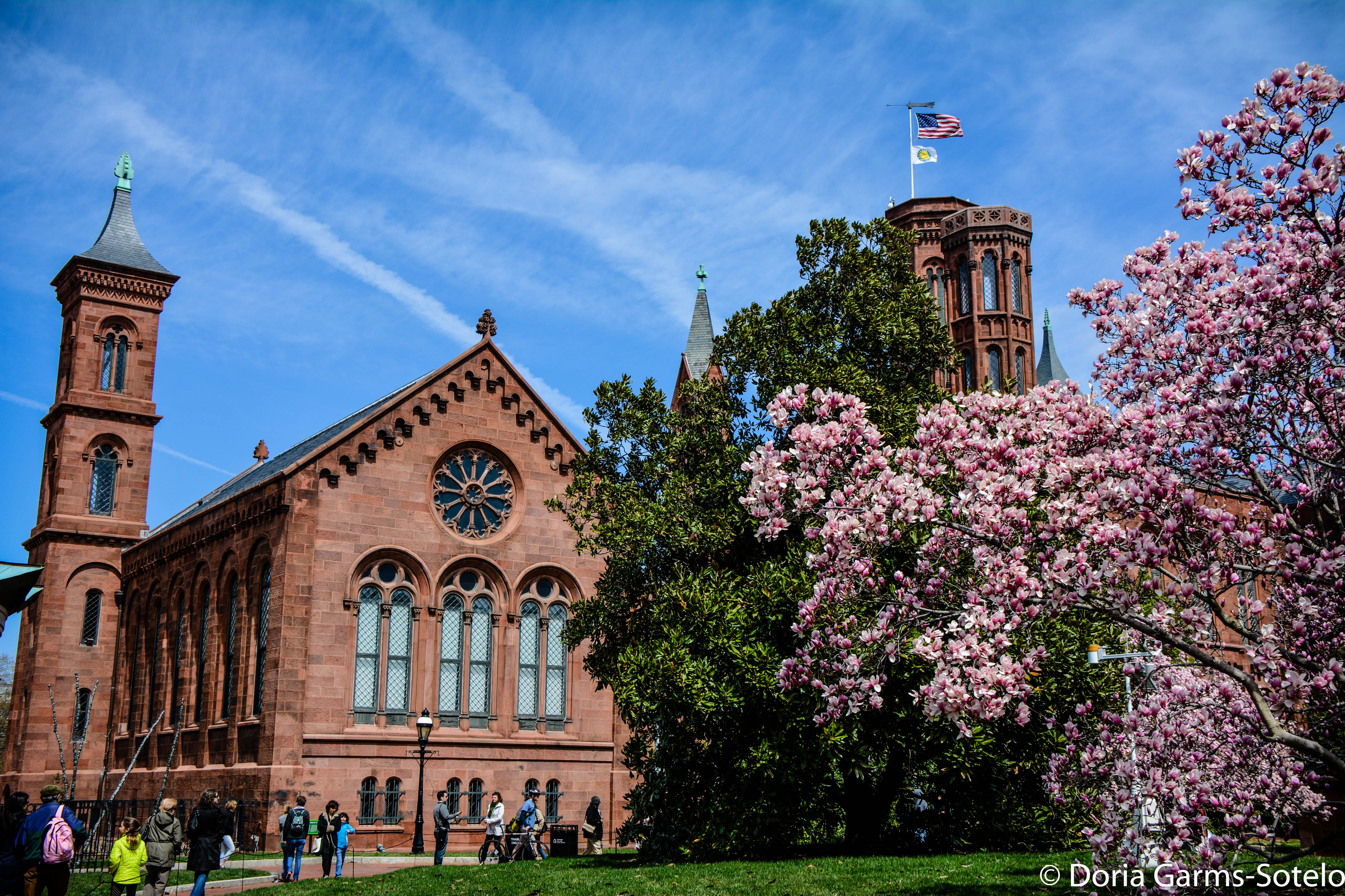 Cherry Blossoms at the Smithsonian Castle