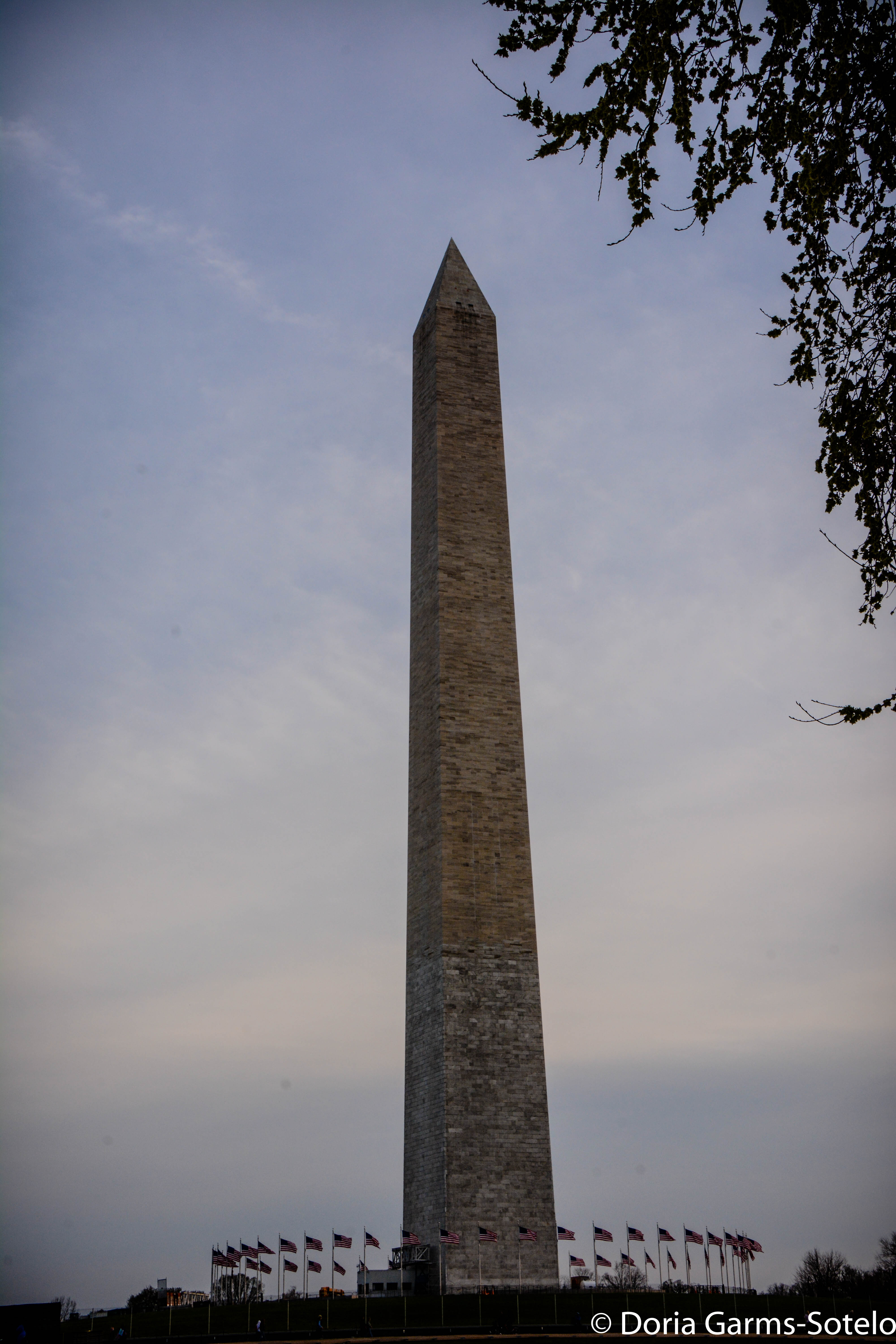 The Washington Monument