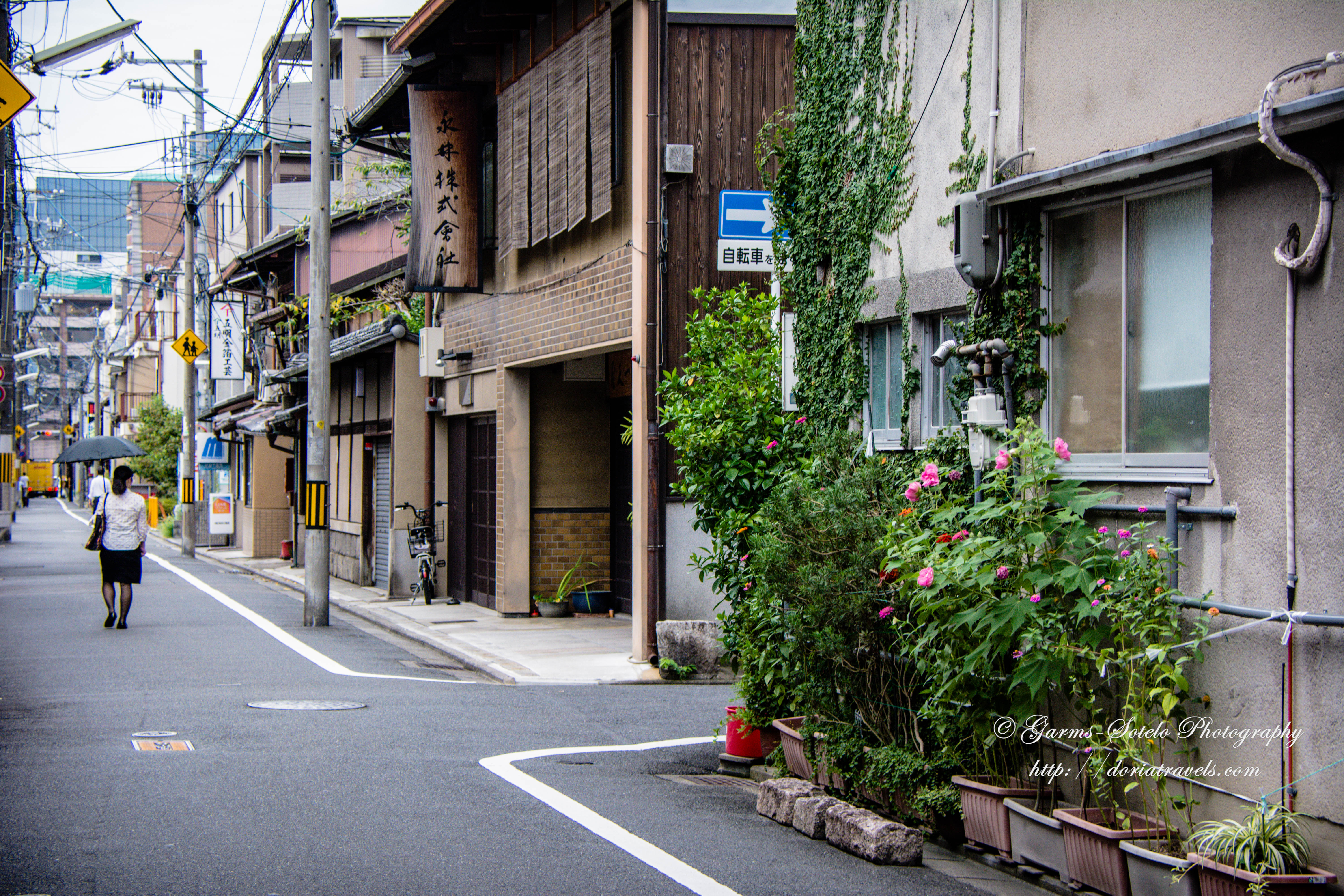 House with a Small Garden in Front