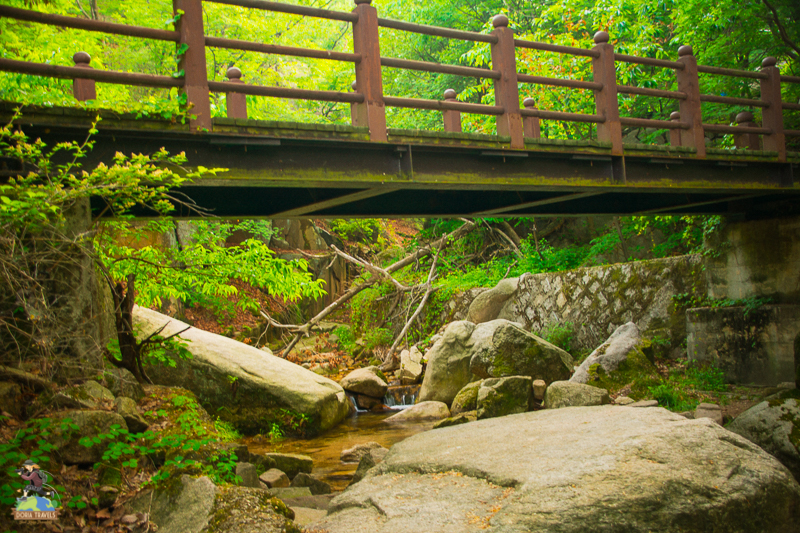 hiking